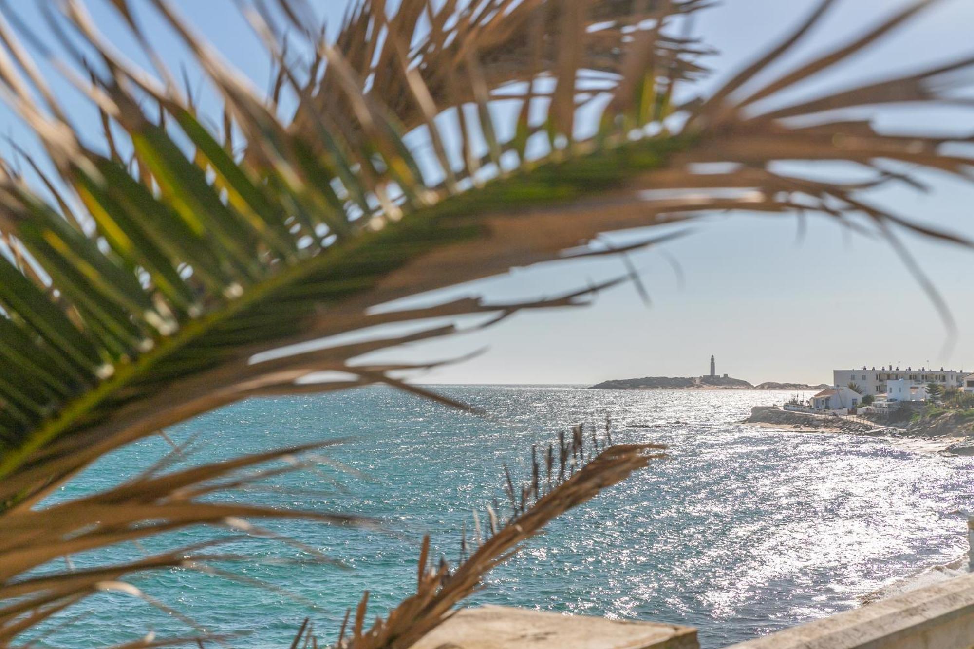Magnífico duplex renovado con piscina garaje y jardín, frente a la playa de los Caños de Meca. Los Canos De Meca Exterior foto